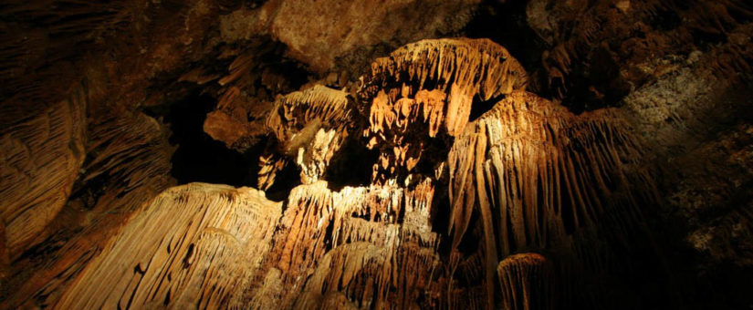 CAVE BAREDINE